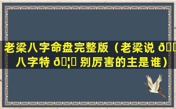 老梁八字命盘完整版（老梁说 🐯 八字特 🦍 别厉害的主是谁）